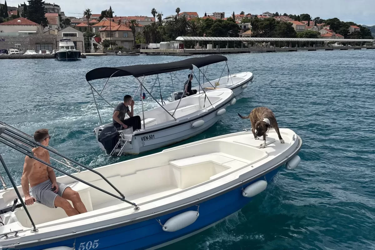 Set off with your friends